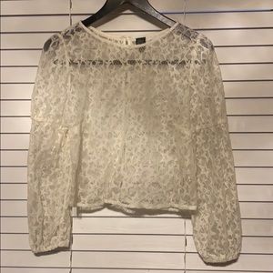 Shear Star Blouse with Shimmer